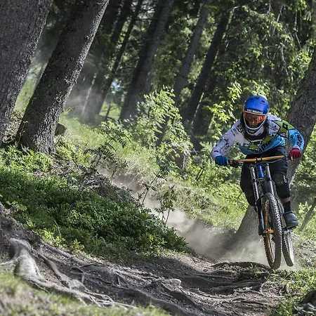 Appartementhaus Elmo Viehhauser Kg 4* Клайнарль