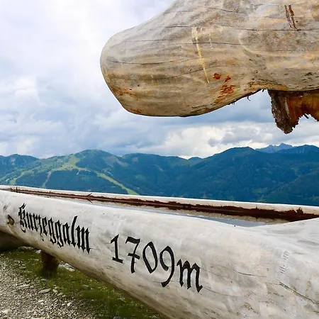 Appartementhaus Elmo Viehhauser Kg Gasthof 4*